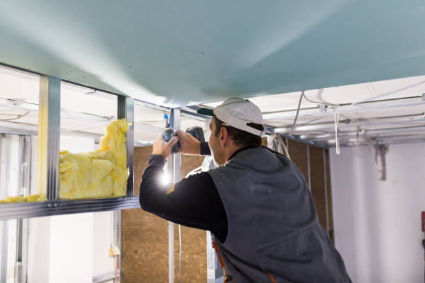 Best DIY Insulation Kits and Guidance in Balcones Heights, TX