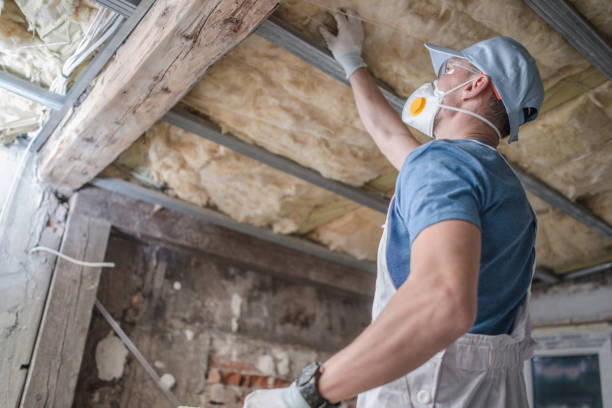 Best Spray Foam Insulation in Balcones Heights, TX