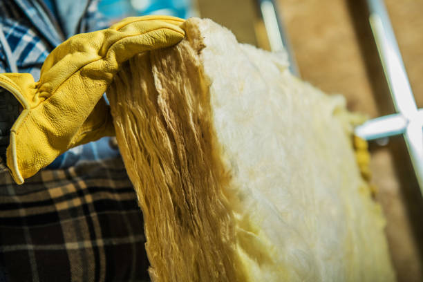 Best Insulation Maintenance and Repair in Balcones Heights, TX