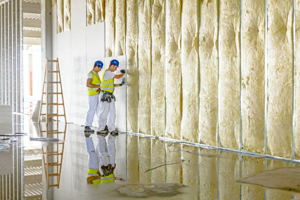 Best Eco-Friendly Insulation in Balcones Heights, TX
